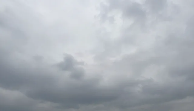 全流程跟进在不同场景下的性能表现与适用条件分析
