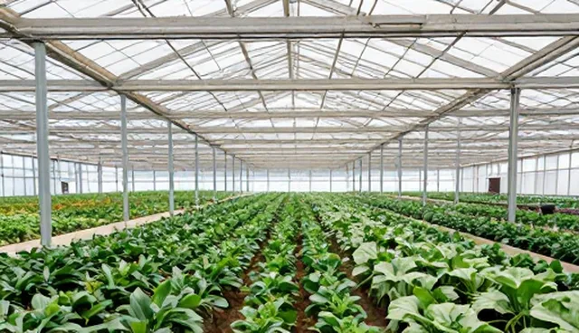 网站维护在业务发展中的关键角色与趋势变化